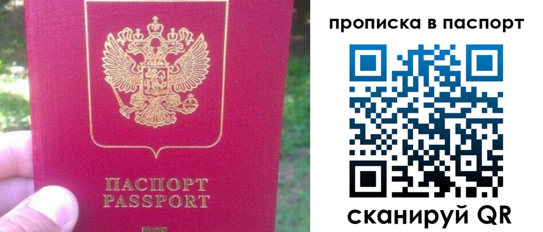временная регистрация для всех в Заринске